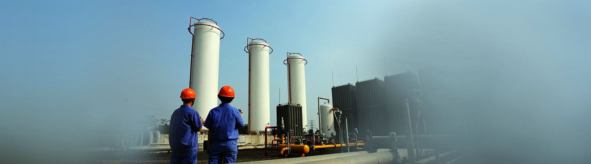 ������y�������Ă�Ʒ�ƺ�